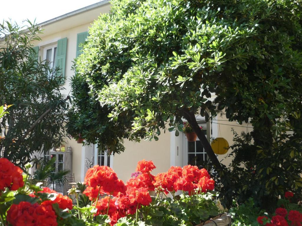 Logis Victorine Nizza